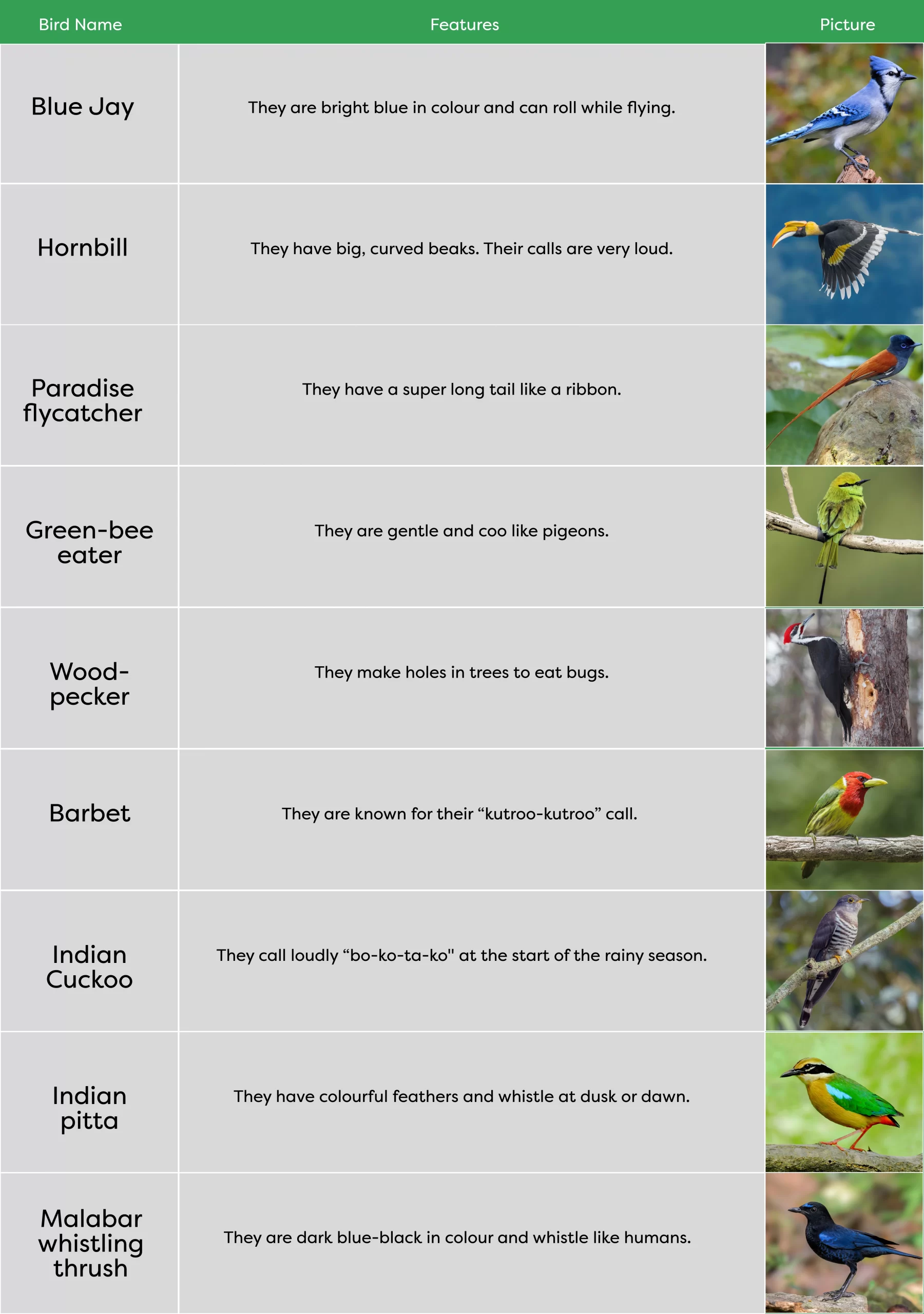 KLAY Preschools and Daycare