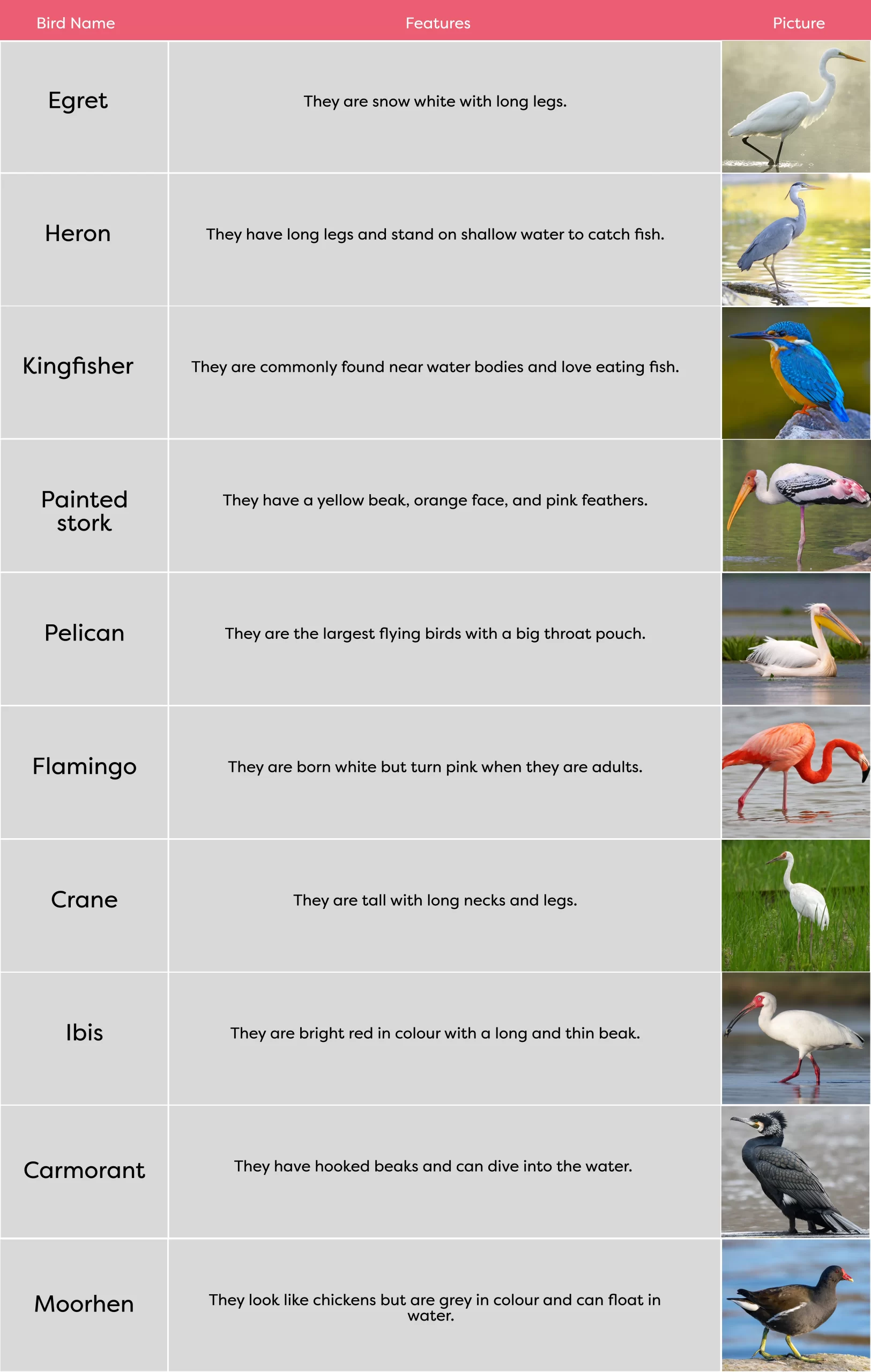 KLAY Preschools and Daycare