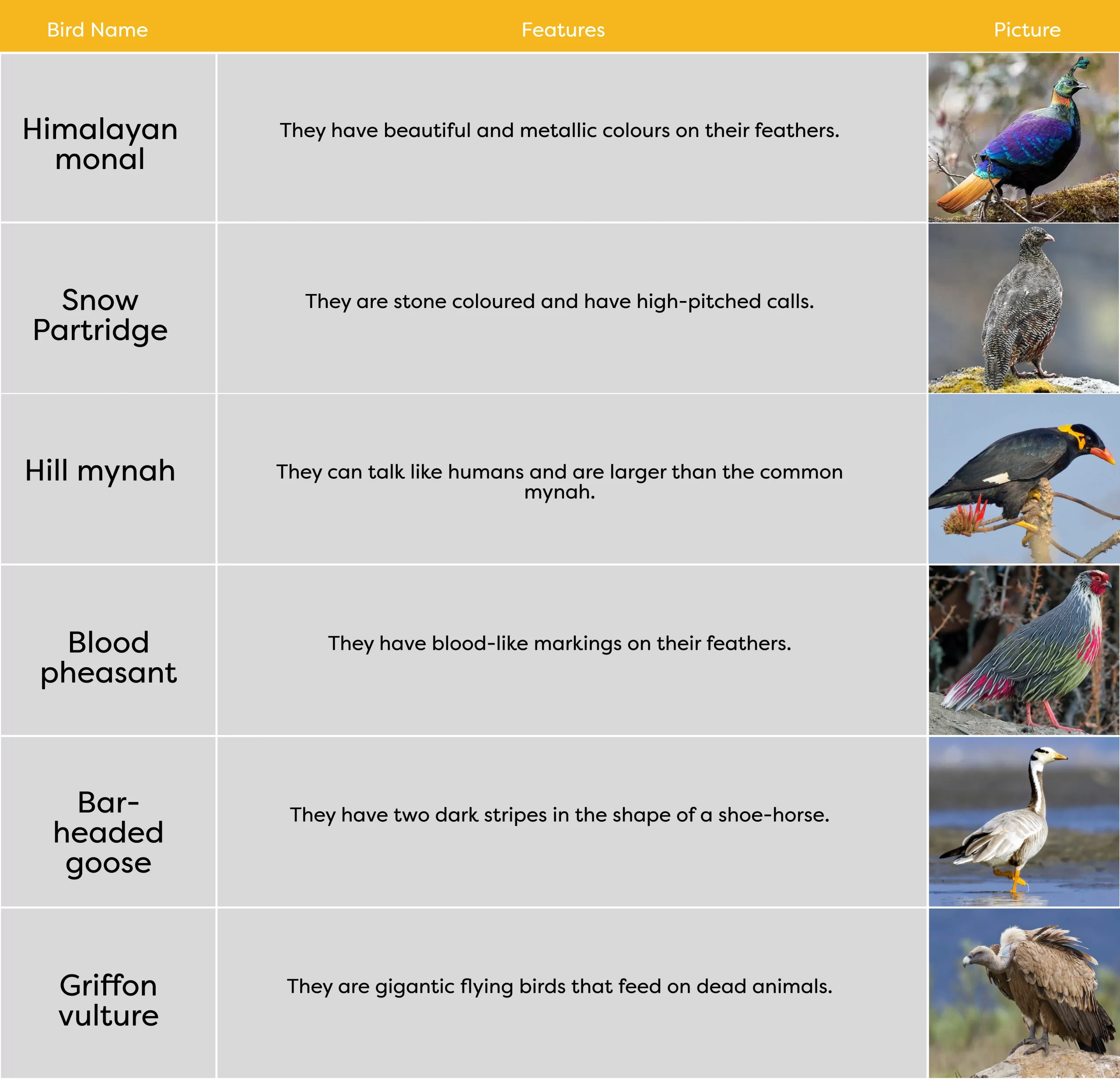 KLAY Preschools and Daycare