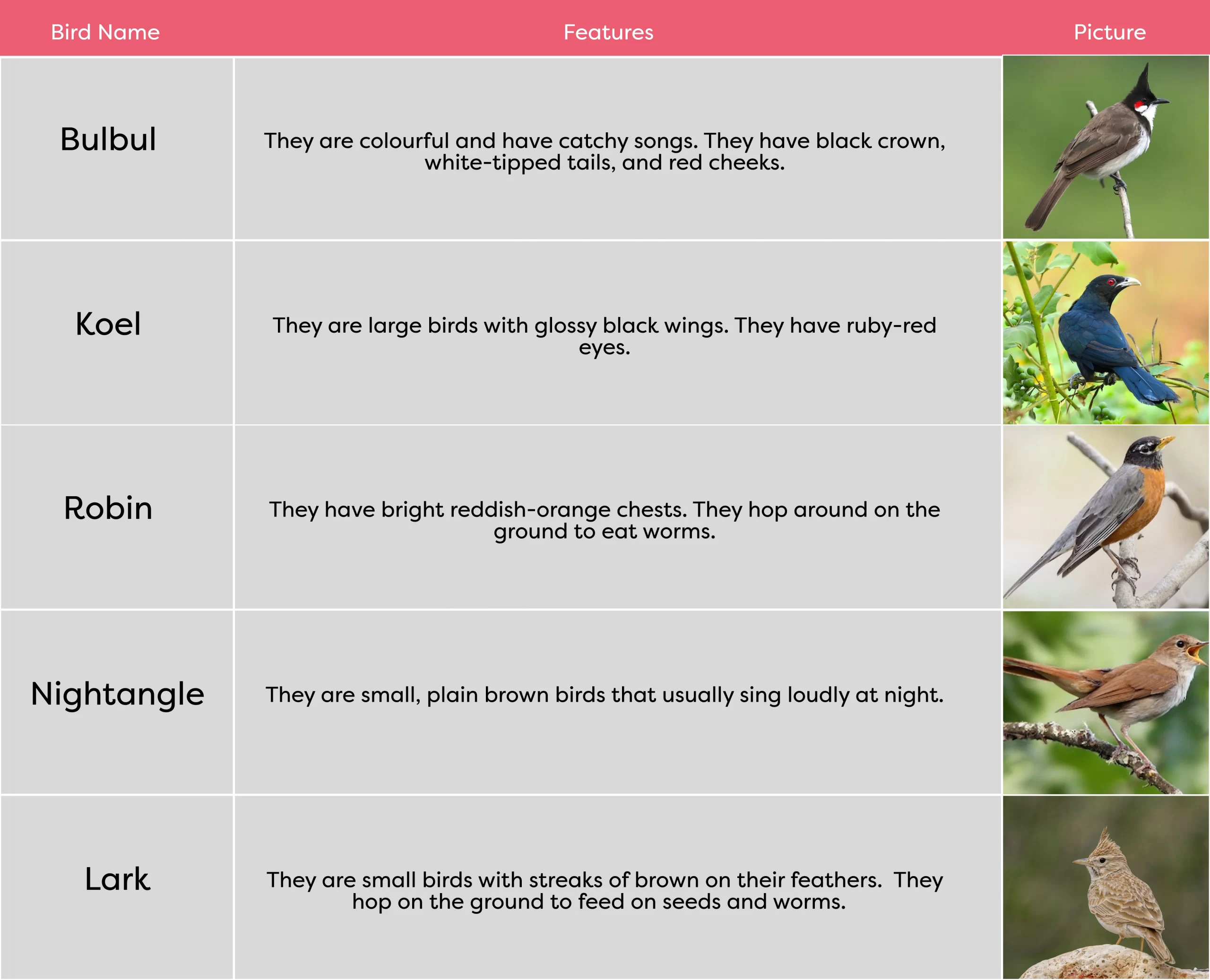 KLAY Preschools and Daycare