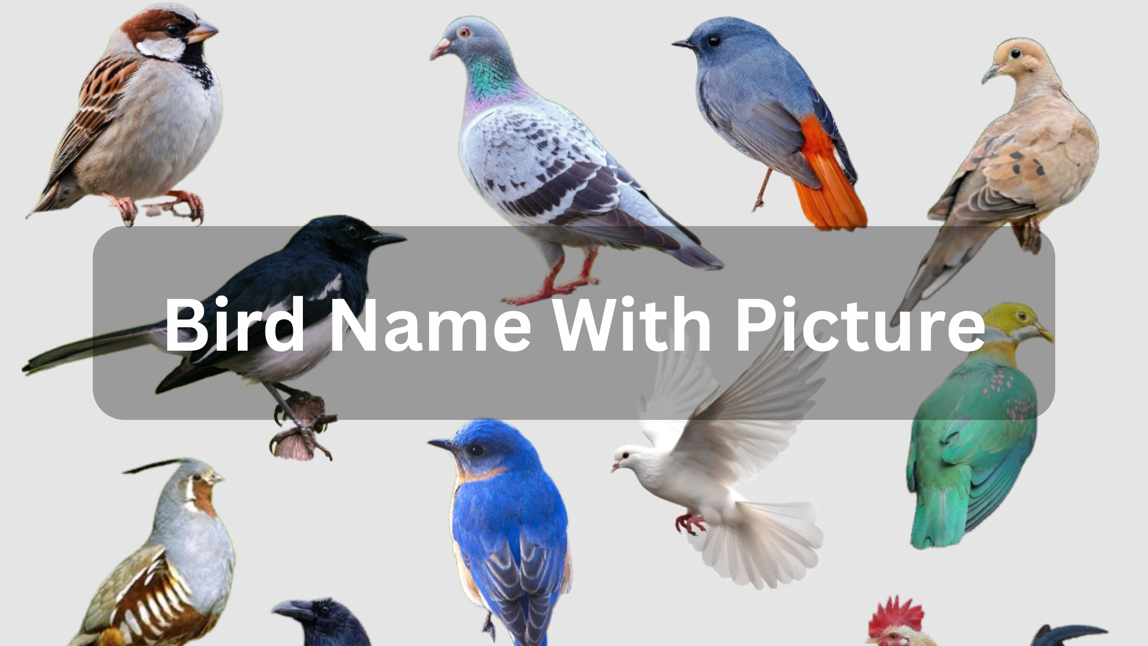 KLAY Preschools and Daycare