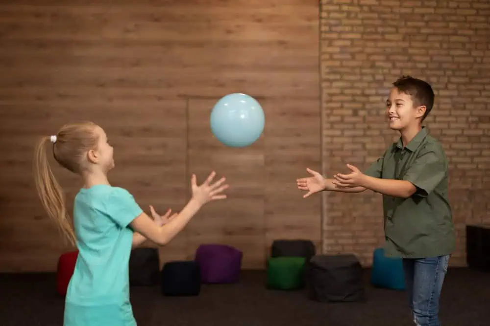 Partner Ball Toss