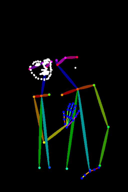 Pose Detection Version