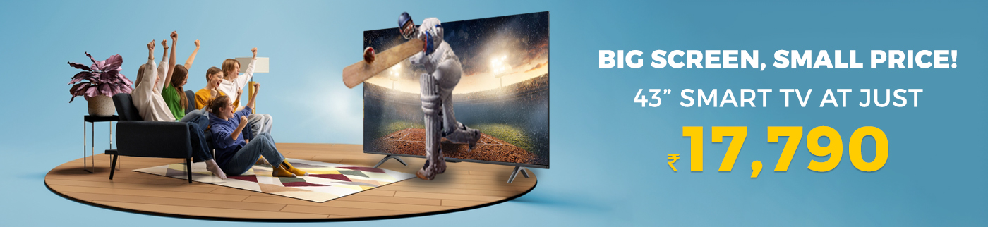 Big Screen , Small Price - Flat Panel