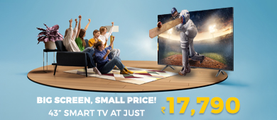 Big Screen , Small Price - Flat Panel