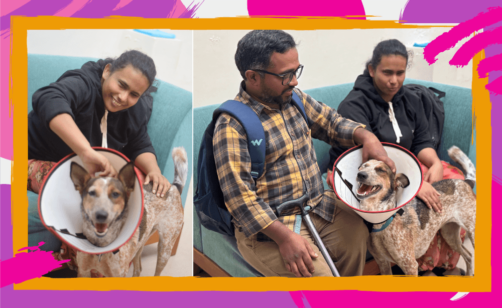 2 images featuring Melvina with a cute dog at Poochkoo.