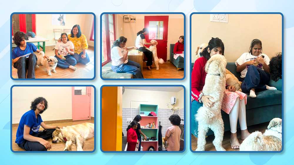 Snippets of new recruits with old members at Poochkoo.