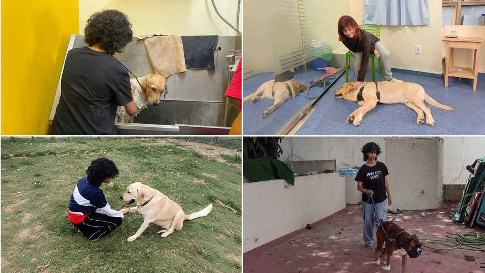 Heartwarming images from Poochkoo with girls taking care of dogs. 