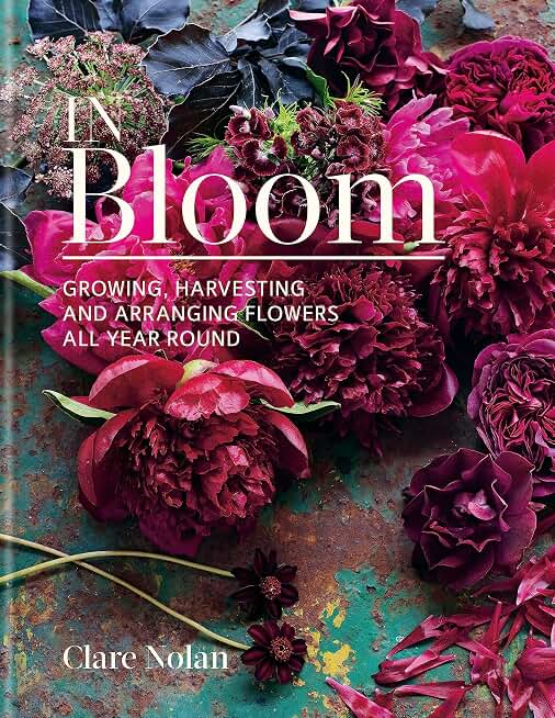 IN BLOOM