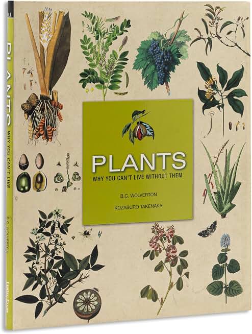 Plants