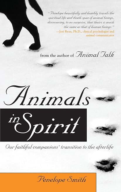 Animals in Spirit: Our Faithful Companions' Transition to the Afterlife