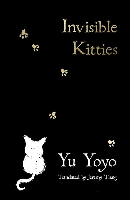 Invisible Kitties: Discover this magical debut, the perfect gift for cat-lovers