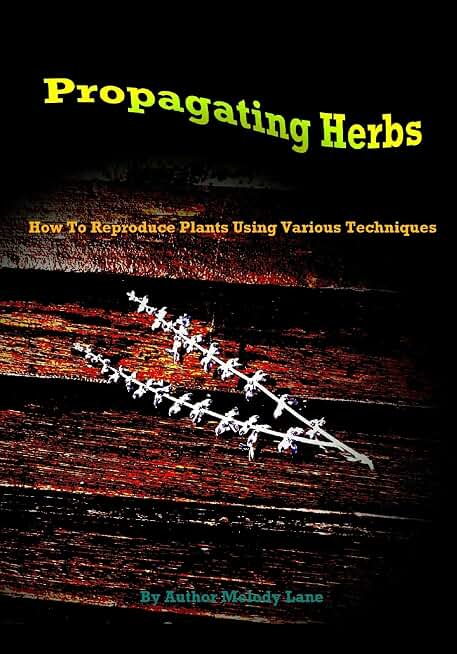 Propagating Herbs: How To Reproduce Plants Using Various Techniques