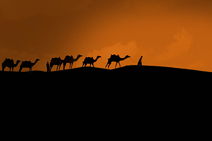 Rajasthan Circuit — Forts, Lakes & Desert Dunes