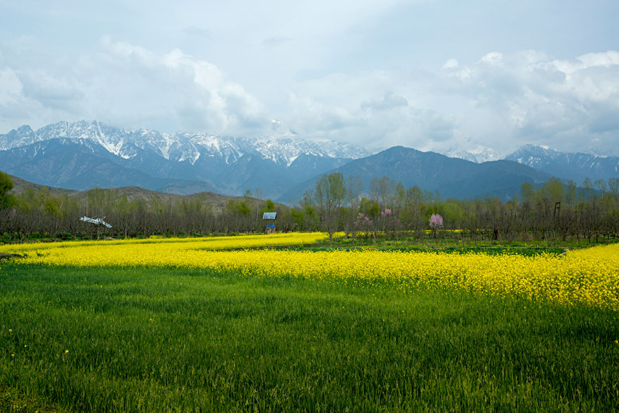 Kashmir — Winter Expedition photo 4
