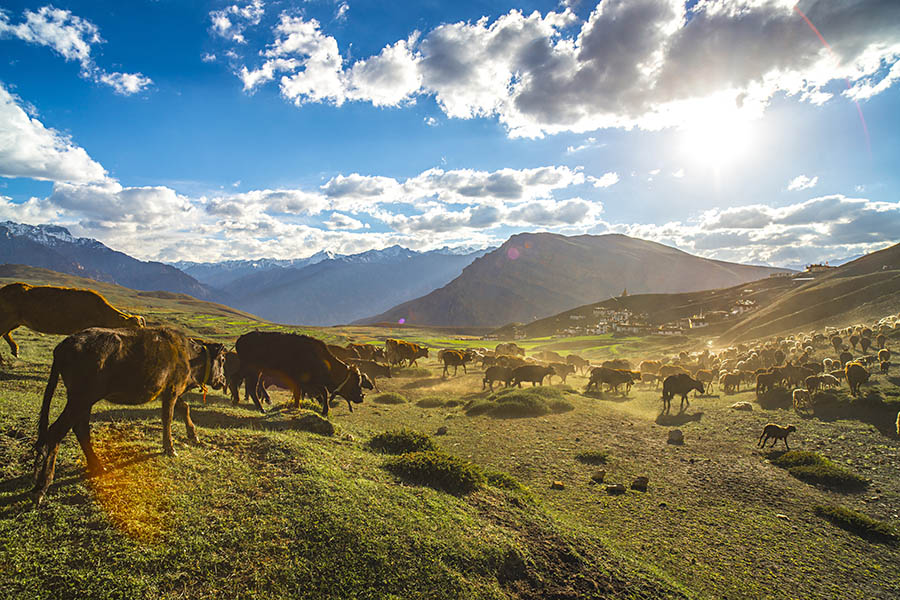 Spiti Valley Explorer – Himalayas Hidden Paradise photo 2
