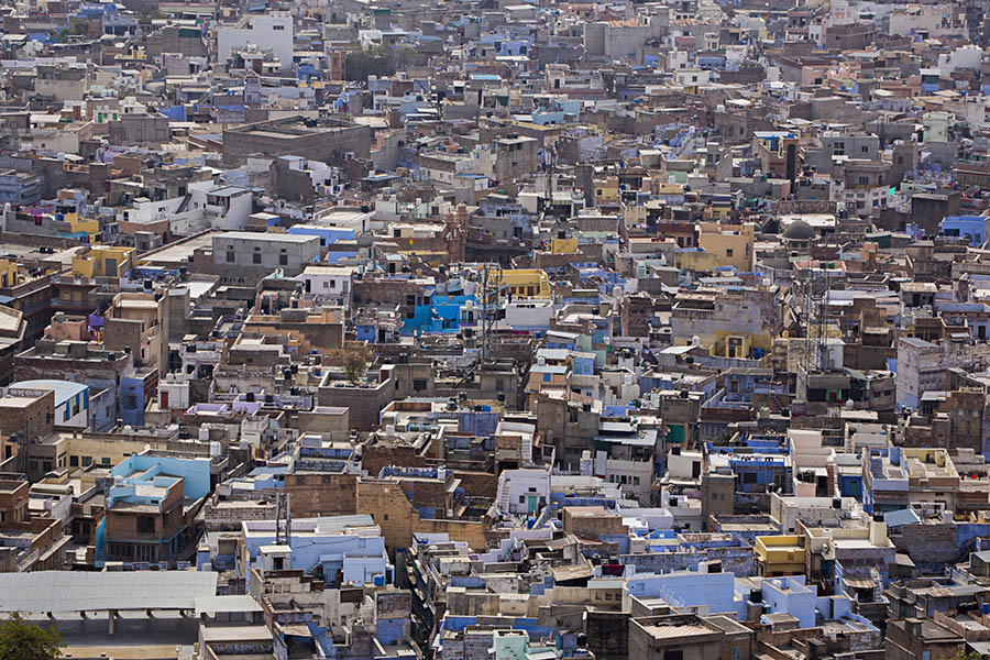 Rajasthan Circuit — Forts, Lakes & Desert Dunes photo 4