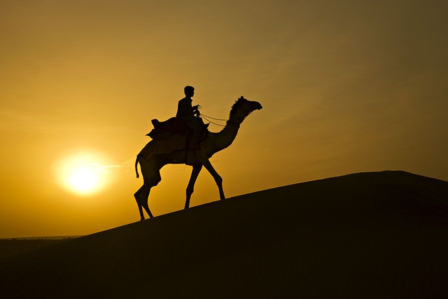 Romantic Rajasthan — Jodhpur & Jaisalmer Escape photo 5