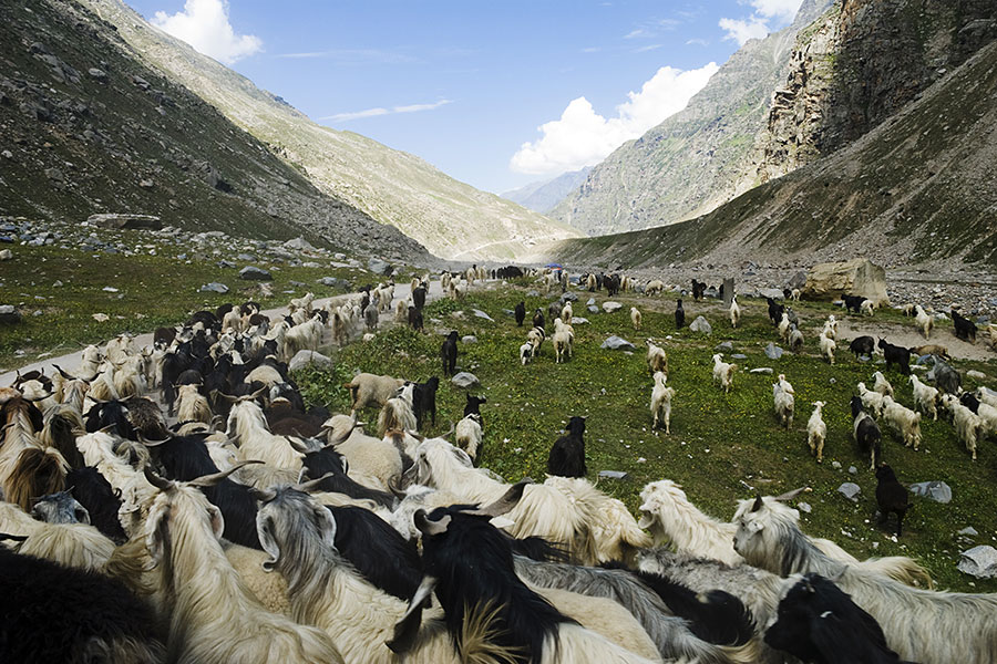 Spiti Valley Explorer – Himalayas Hidden Paradise photo 1