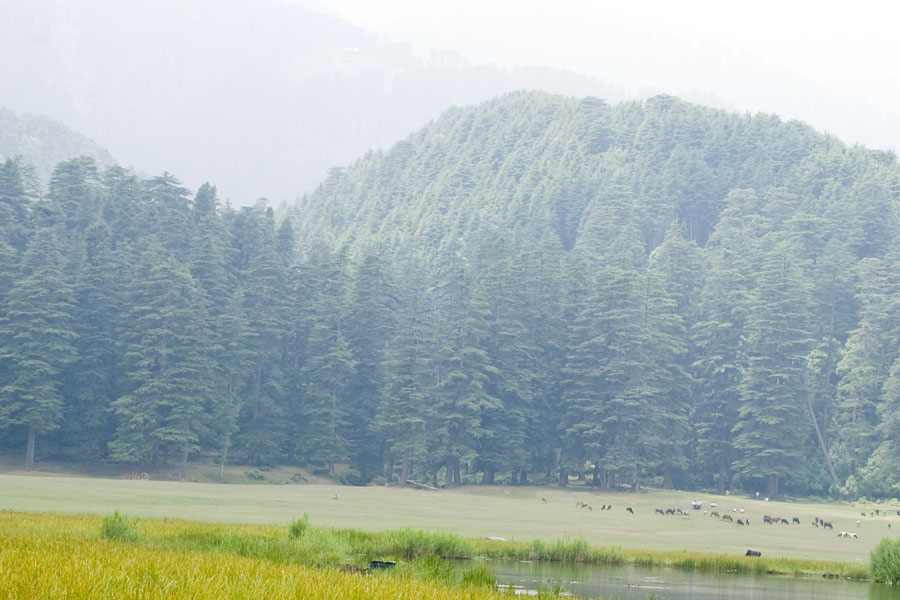 Dalhousie & Amritsar — Hills, History & the Golden Temple