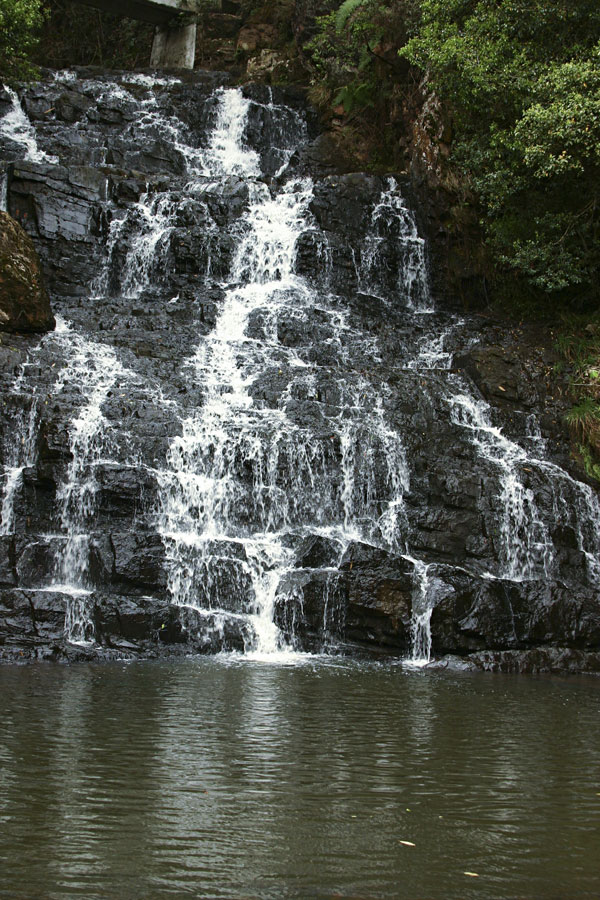 Meghalaya — Caves, Clouds & Living Root Bridges photo 6