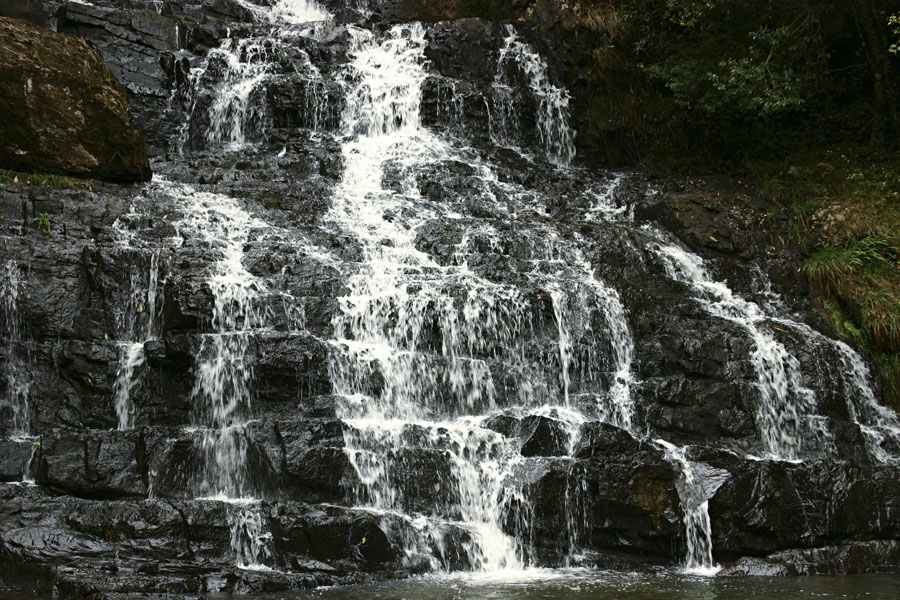 Meghalaya — Caves, Clouds & Living Root Bridges