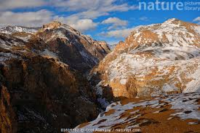 Taxi(cabs) Service in  Samba Himachal Pradesh
