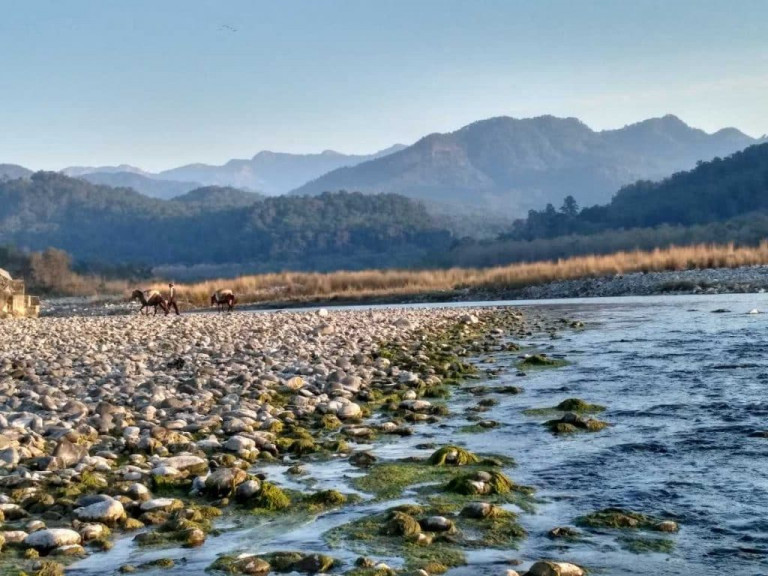 Jim Corbett to Jolly Grant Airport (DED) Dehradun Taxi