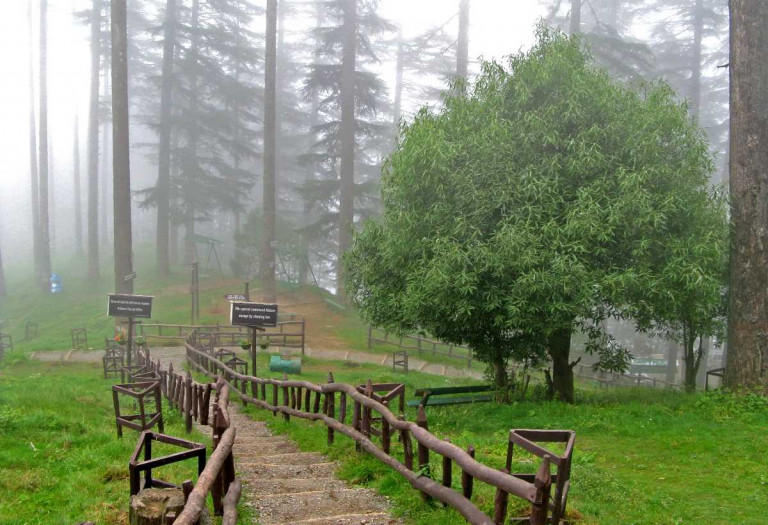 Dhanaulti to Jolly Grant Airport (DED) Dehradun Taxi