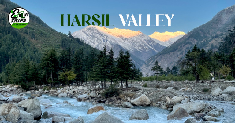 Harshil Valley to Rishikesh Taxi
