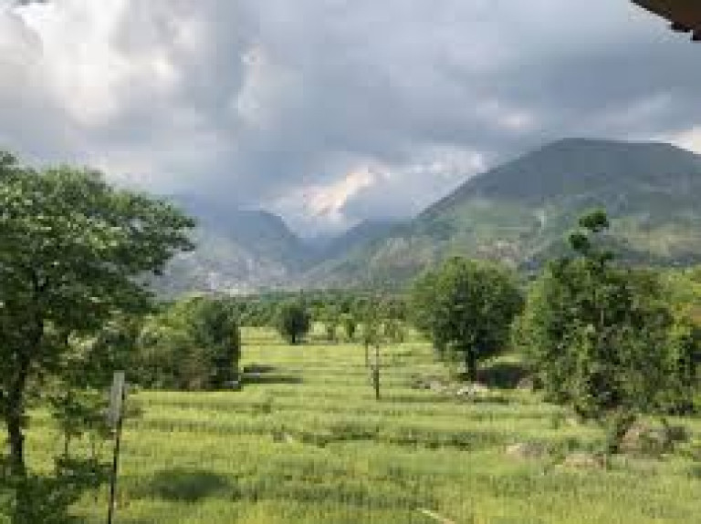 Dharamshala  to Delhi Airport Taxi