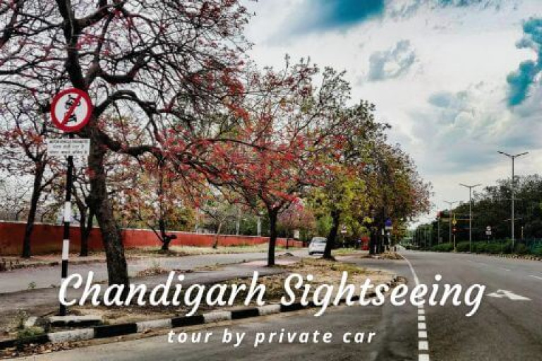 Kullu to Shimla Taxi
