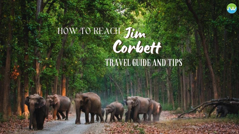 Jim corbett to Bareilly  Taxi