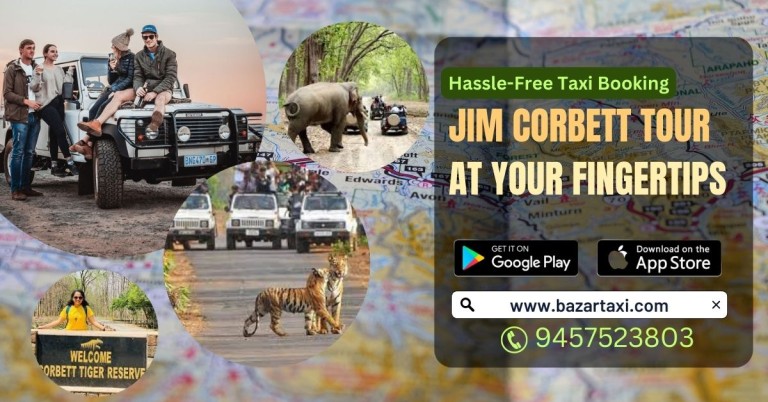 Neemuch to Ramnagar Taxi