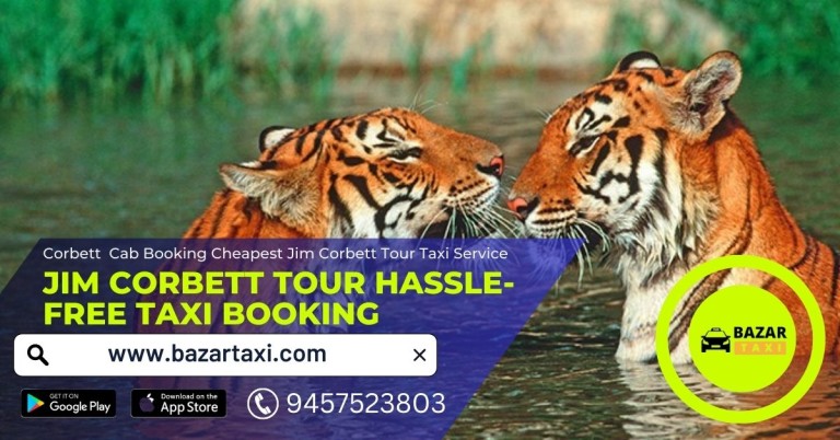 Meerut to Ramnagar Taxi