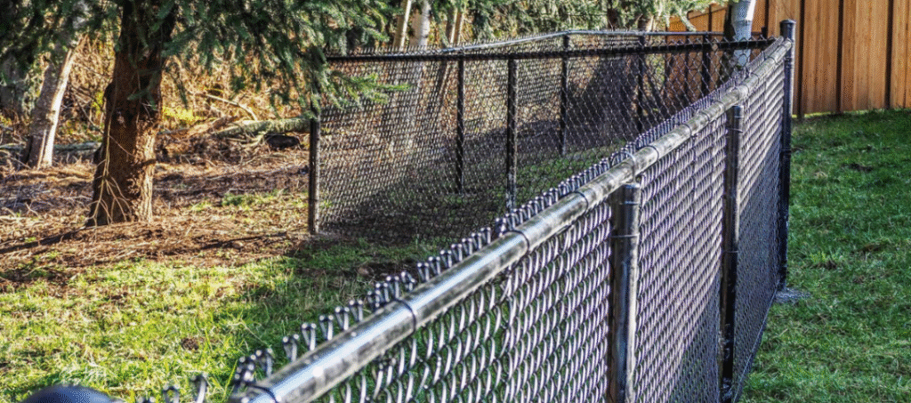Why an Electric Security Fence Is the Smartest Investment in 2025 1 Untitled-design-2025-01-28T131540.074-1085x480.png