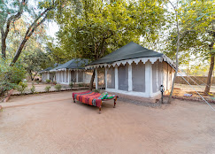 Tiger-Machan-5.jpg