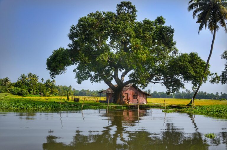 alleppey-3170776_1280.jpg