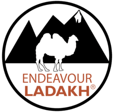LOGO_NEW.png