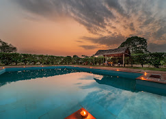 Ranthambore-Tiger-Machan.jpg