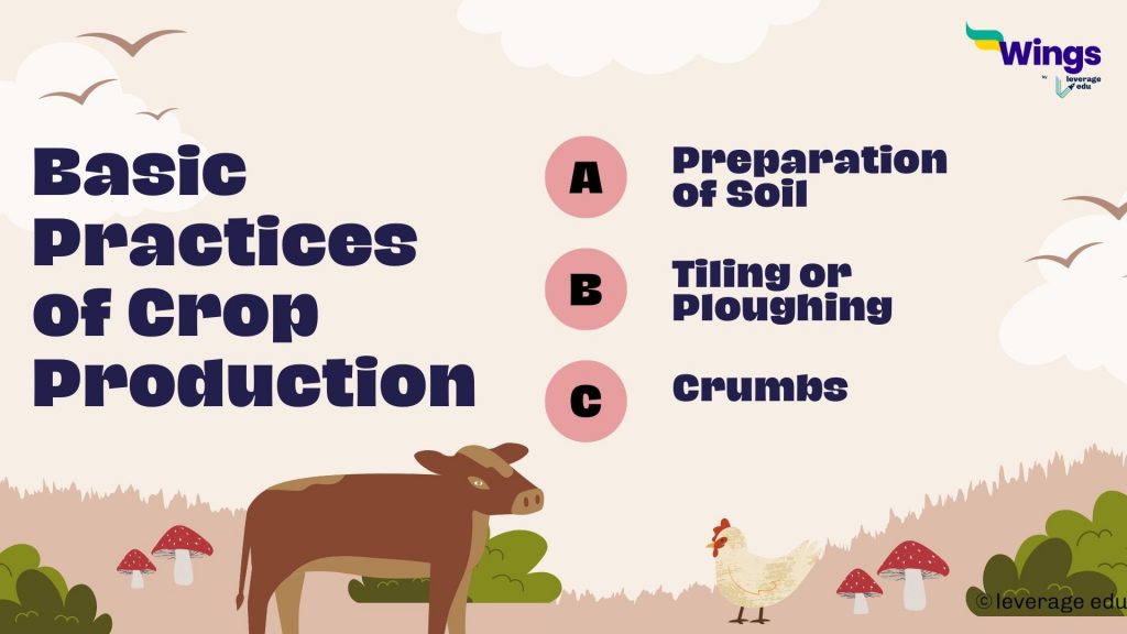 Class 8 Crop Production and Management Leverage Edu