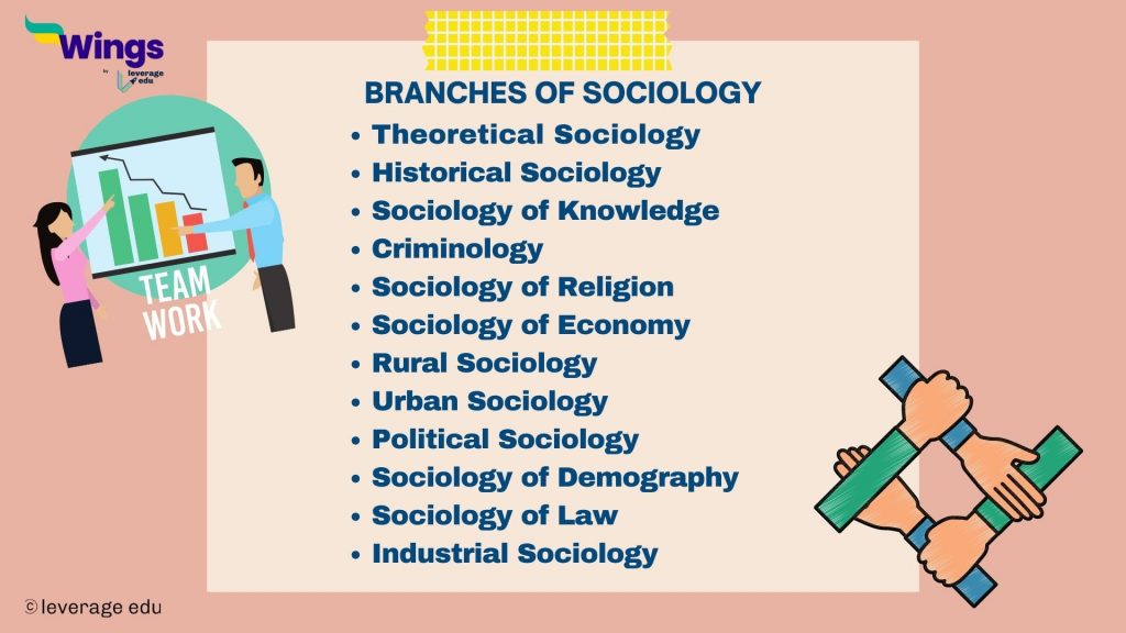 research areas in sociology