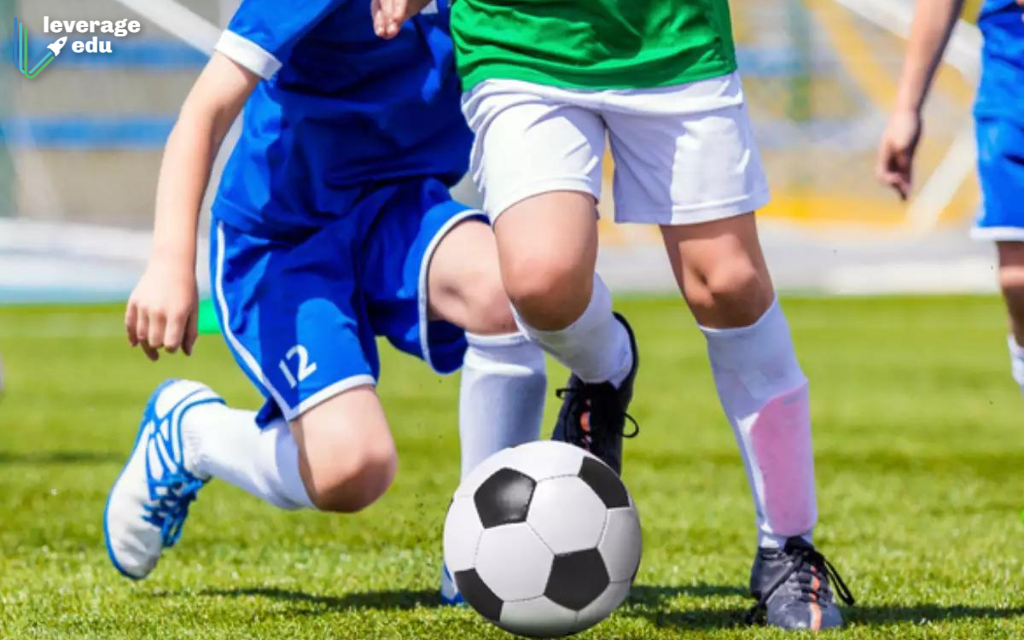 Master s Degree In Sports Management In France In 2023 Leverage Edu