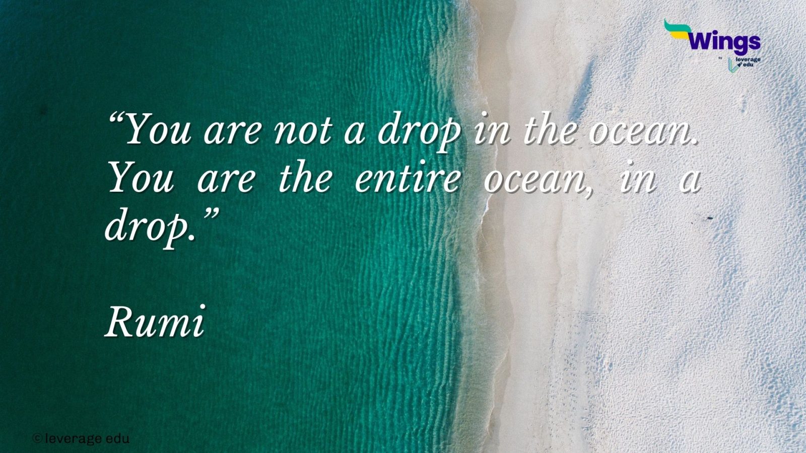 100+ Rumi Quotes on Love, Life, Nature & the Universe Leverage Edu