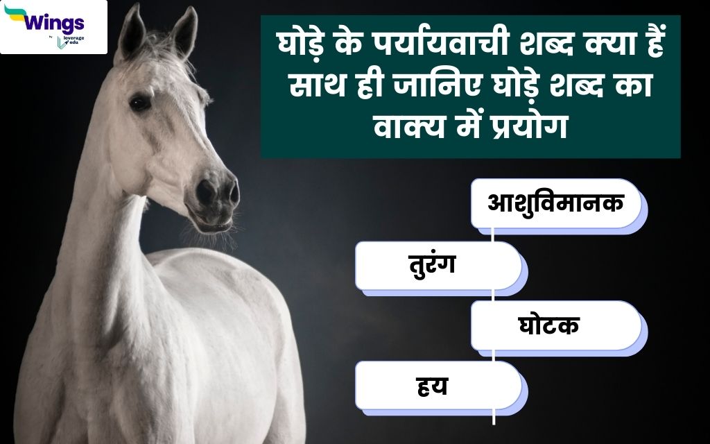 Ghode ka Paryayvachi Shabd क्या है साथ ही जानिए घोड़े पर्यायवाची शब्द