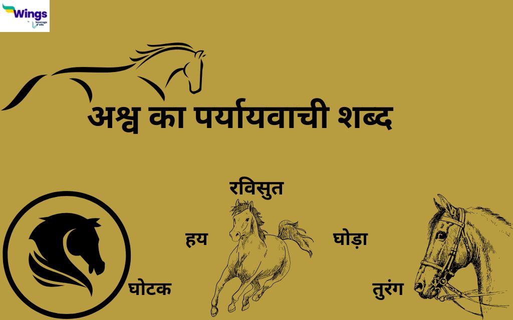 Ashav Ka Paryayvachi Shabd रविसुत, घोड़ा, तुरंग, घोटक, हय Leverage Edu