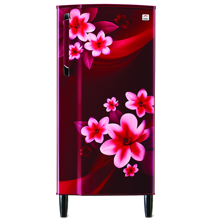 Godrej Edge 190 Ltr 2 Star Direct Cool Single Door Refrigerator - RD EDGE 205B 23 THF PP WN