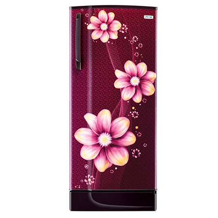 Godrej Edge SX 221 Ltr 3 Star Direct Cool Single Door Refrigerator - RD EDGESX 236C 33 TAI PL WN