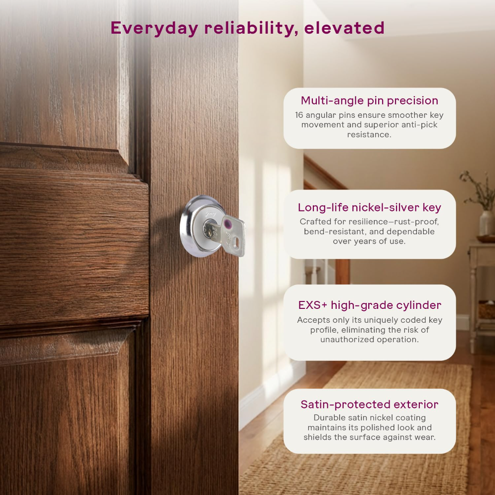 Godrej Rim Lock I Pentabolt EXS plusI 5 Bolts I 1CK Deadbolt I Inside Opening Main Door and Left or Right Handed Door I 4 Keys I 15-Year Warranty I Manual Locking I Satin Nickel Finish 3346
