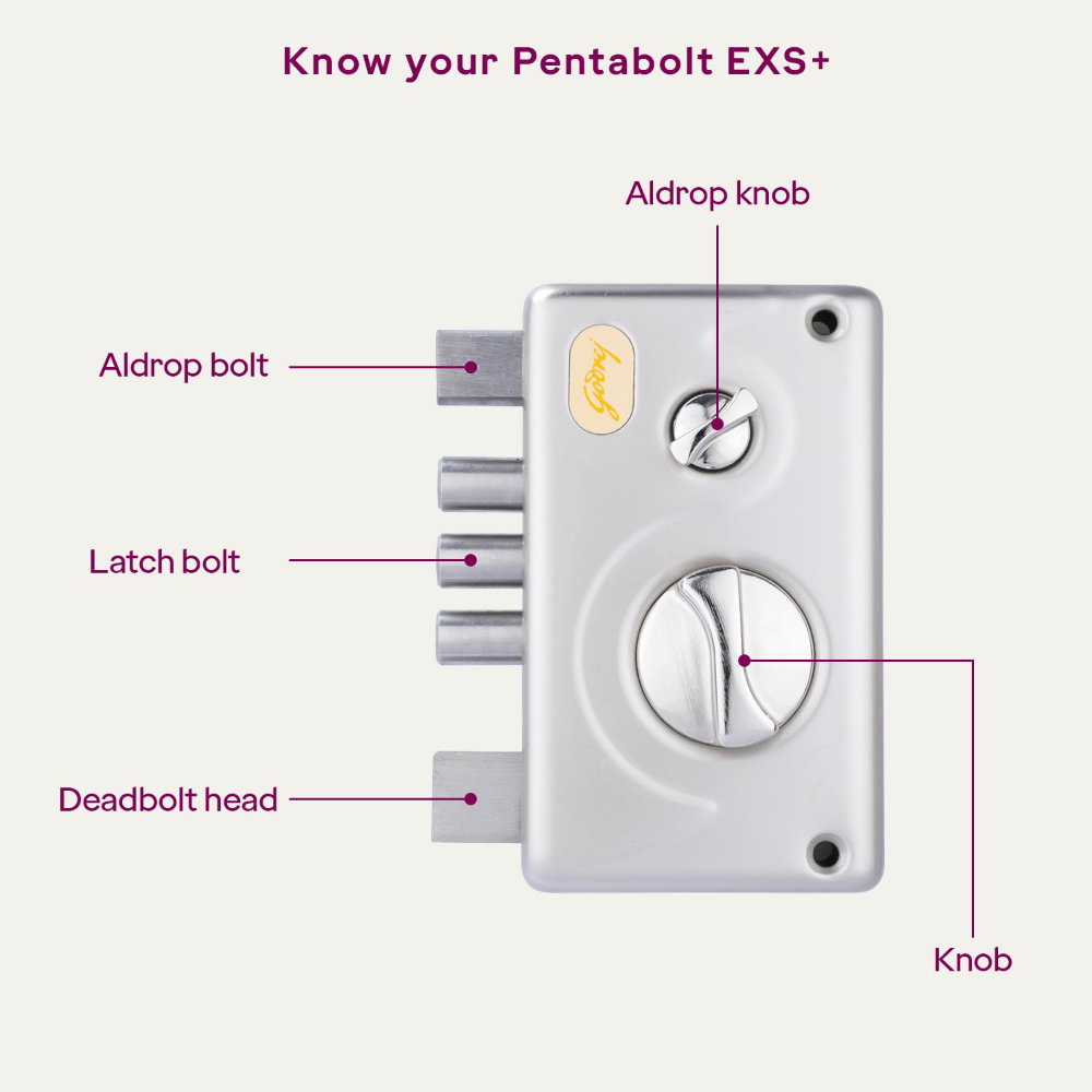 Godrej Rim Lock I Pentabolt EXS plusI 5 Bolts I 1CK Deadbolt I Inside Opening Main Door and Left or Right Handed Door I 4 Keys I 15-Year Warranty I Manual Locking I Satin Nickel Finish 3346